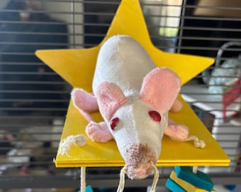 Cornisa de la estrella de la rata