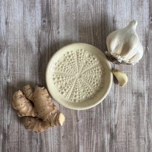 Ceramic Sea Urchin Grater for Garlic/Ginger | Foodie Gift | Beachy Kitchen | Coastal Decor | Housewarming