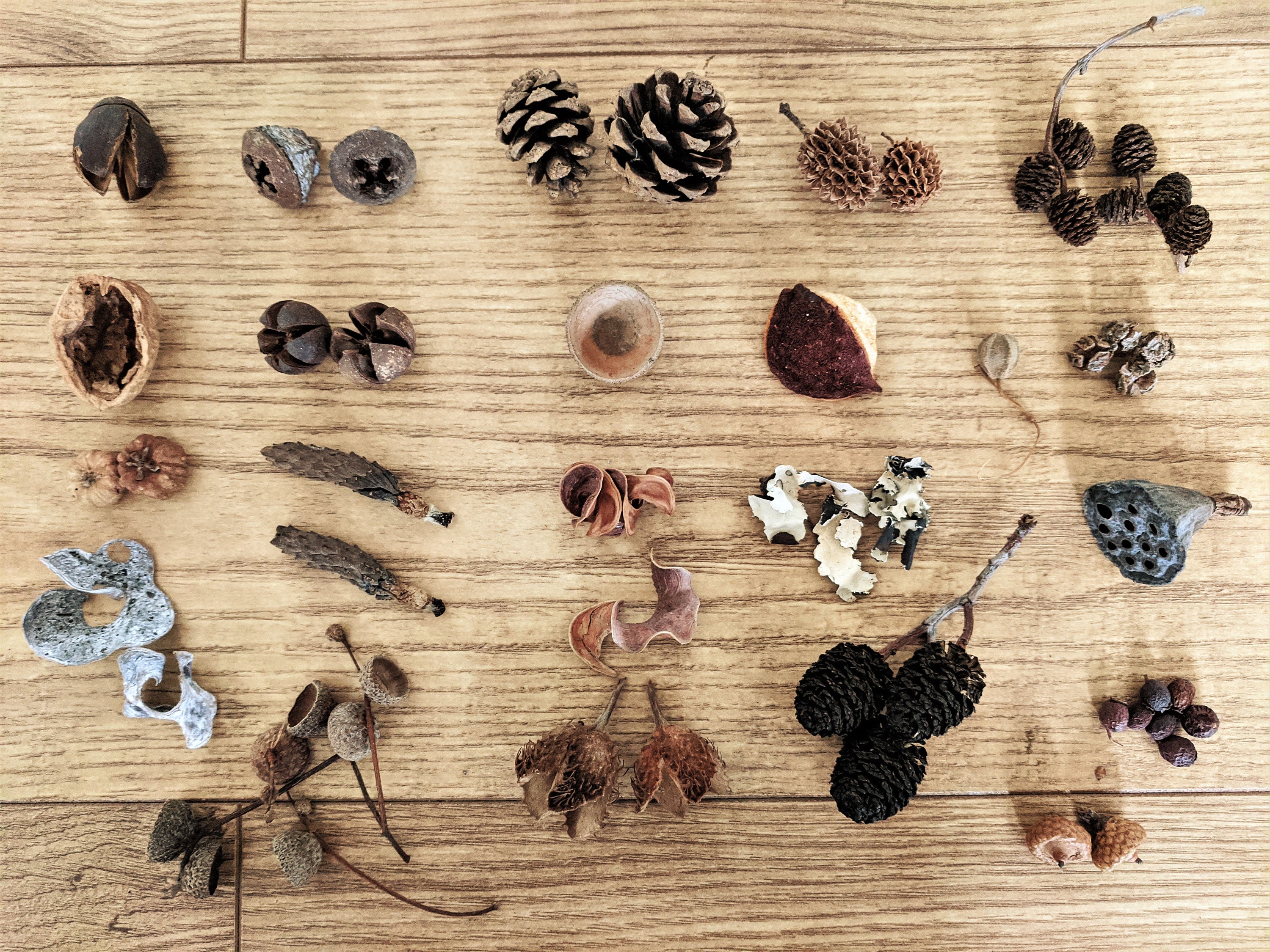 Natural Materials Nature Crafts Rustic Decor Fairy Garden - Etsy