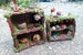 Miniature Bookcases - Fairy House, Fairy Garden, Gnome furniture, Mouse House, Elf, Fairy Furniture, Miniature Shelves, Magical Gift 