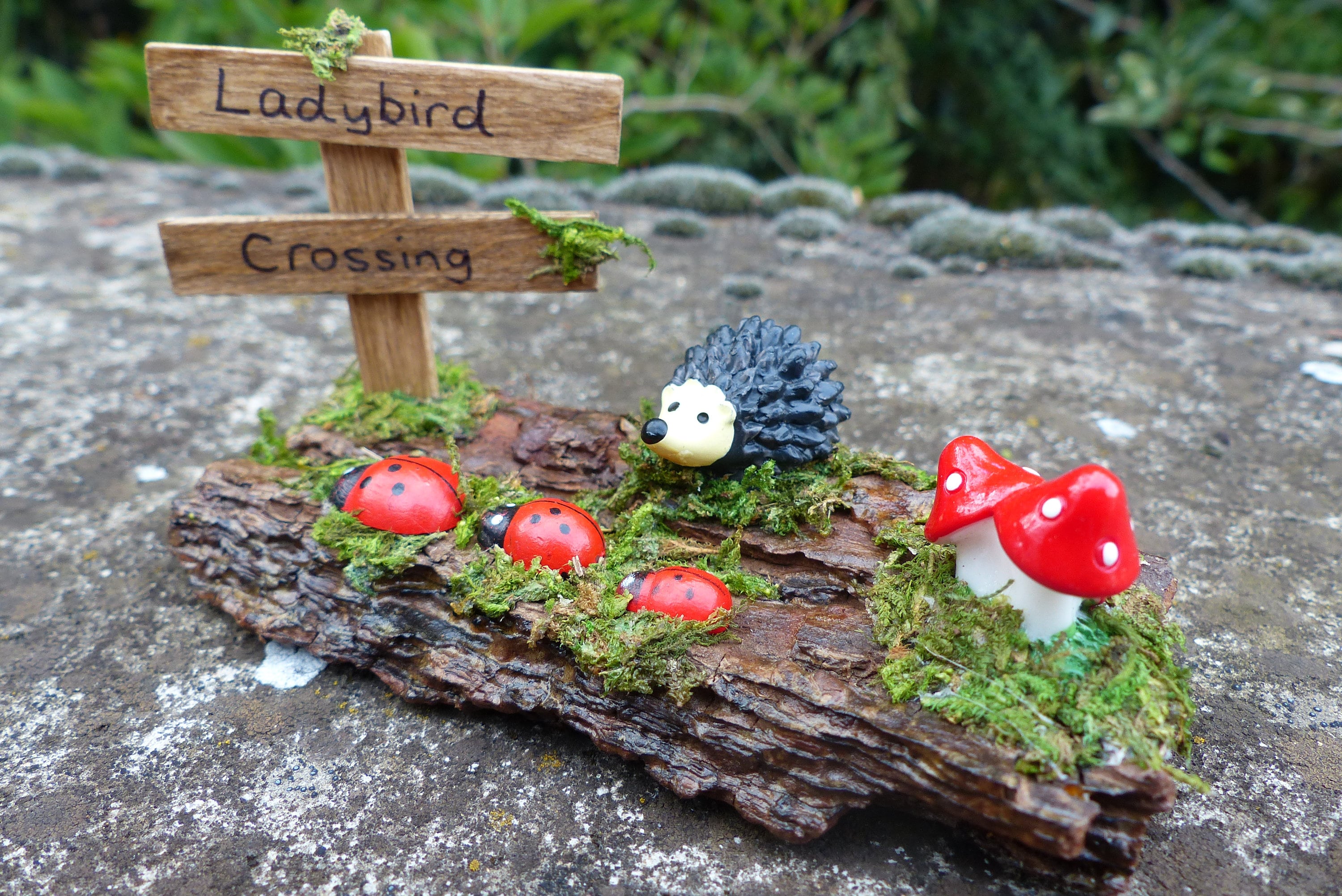 Miniature Fairy Slide Fairy Miniatures, Fairy Garden, Fairy House