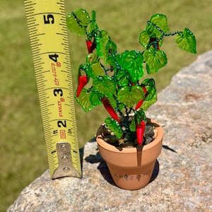 Mini Beaded Chili Pepper Plant | With or Without Arizona Engraved |Terracotta Pot |Glass Chili Pepper Decor |Southwest Decor image 5