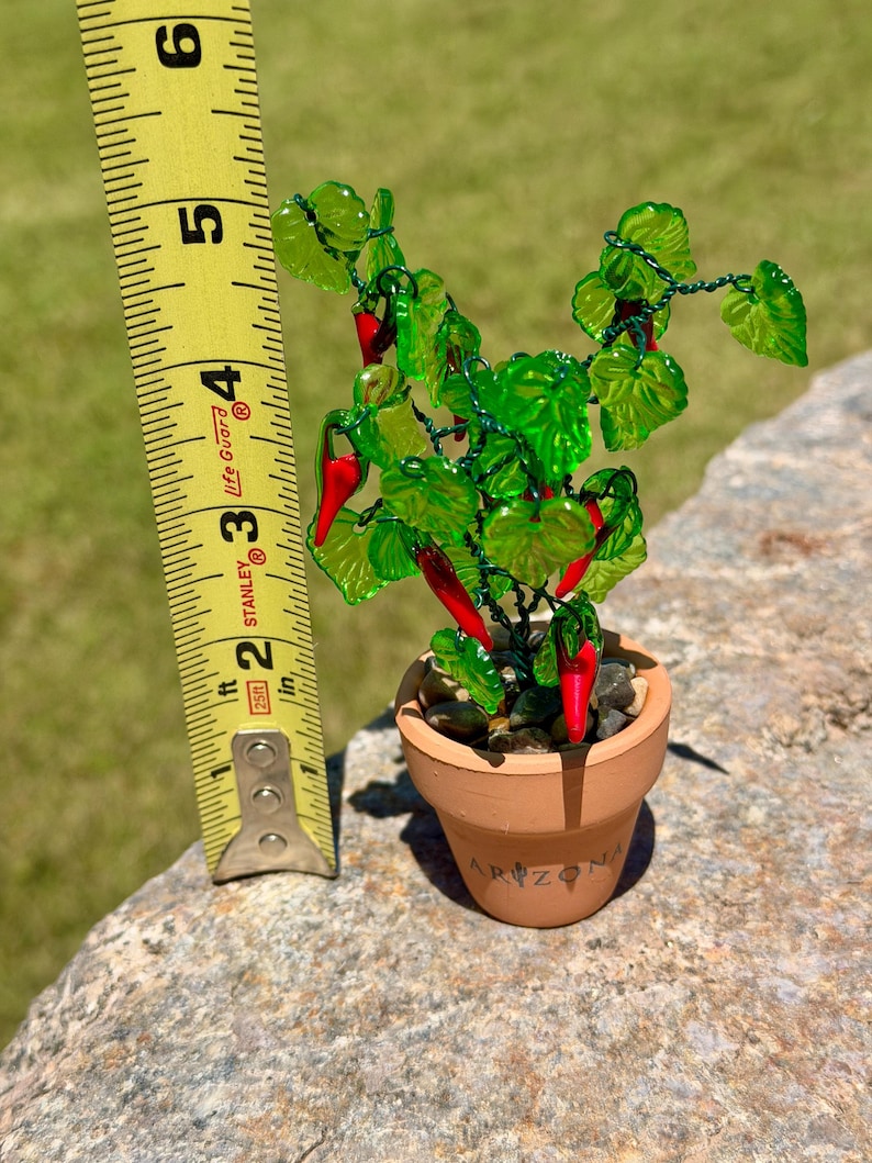 Mini Beaded Chili Pepper Plant | With or Without Arizona Engraved |Terracotta Pot |Glass Chili Pepper Decor |Southwest Decor image 5