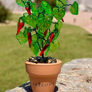 Puede incluir: Una planta decorativa de chiles de vidrio en una maceta de terracota. La planta presenta chiles rojos y hojas verdes. La maceta está inscrita con la palabra "ARIZONA". La planta está sobre una superficie de piedra.