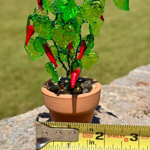 May include: A miniature glass chili pepper plant with vibrant green leaves and bright red peppers, set in a small terracotta pot filled with dark pebbles. A yellow Stanley measuring tape shows the pot has a diameter of approximately 2 inches.