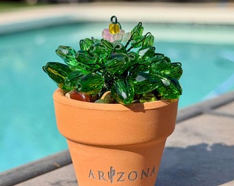May include: A small terracotta pot with the word ARIZONA embossed on the front, featuring a cactus sculpture made of faceted green glass beads and a single small pink and yellow glass flower bead at the top, filled with small decorative stones.