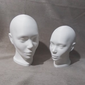 Realistic Planar Head 3D Print Female Head Beautiful Ornament Artist Portrait Study Reference