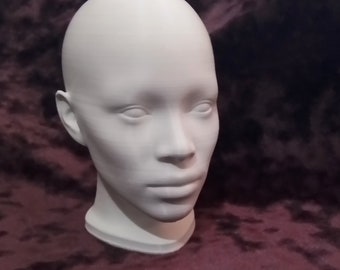 Realistic African Feminine Head 3D Print Female Head Beautiful Ornament Artist Portrait Study Reference