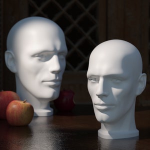 Now 25cm Real Size Ascending Artist&#39;s Realistic Male Head Reference 3D Print Beautiful Ornament Artist Portrait Study