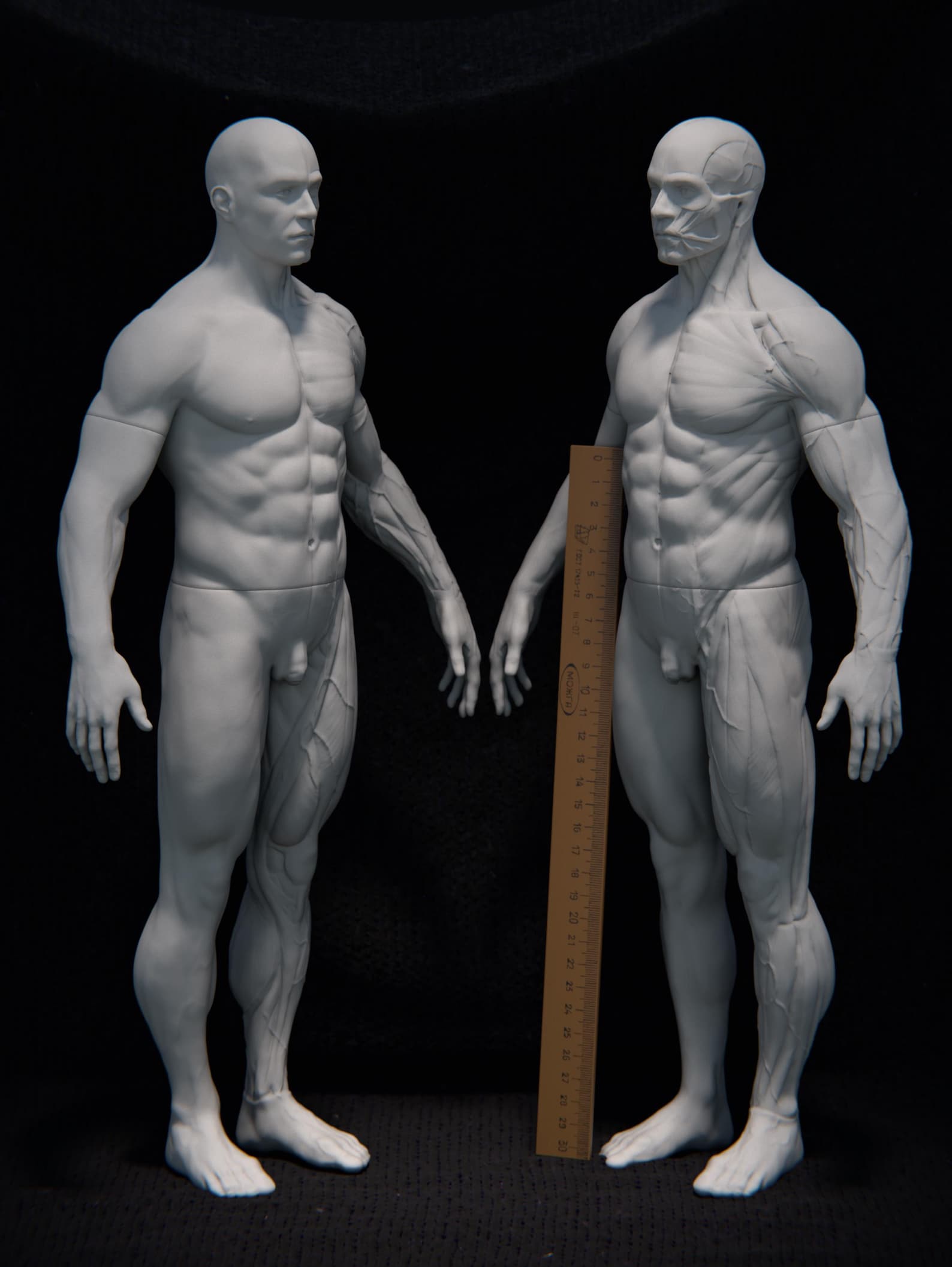 45cm Male Dual Essence Full Figure Anatomy Sculpture Artist Reference ...