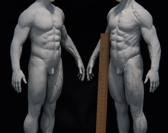May include: Two white anatomical male figures, one with a detailed muscular structure and the other with a smooth surface. A wooden ruler is placed between them. The figures are on a black background.