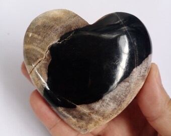 192 gr Natural Petrified Wood Heart,Petrified Wood Agate 15