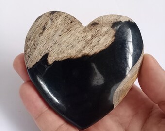 184 gr Natural Petrified Wood Heart,Petrified Wood Agate 17