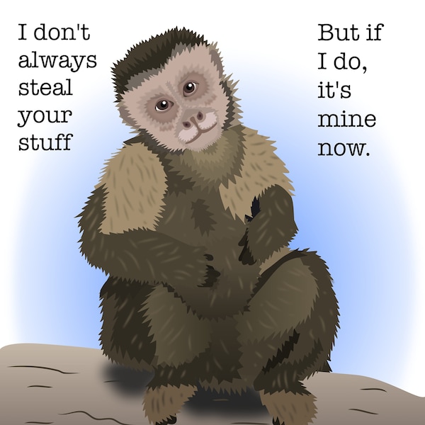 Capuchin Mug/Ape Mug/Primate Mug/Monkey Mug/Funny Chimp Gift/Zookeeper Gift/Primate Lover Gift/Monkey Lover Gift