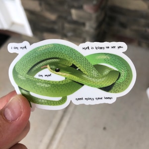 Snake Sticker/Snake Decal/Funny Snake Sticker/Funny Snake Decal/Snek/Green Snake Sticker/Green Snake Decal/Cute Snake Sticker