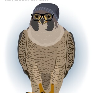 May include: A brown and grey falcon wearing a black beanie and black framed glasses. The text "MILLENNIAL FALCON" is written above the falcon.