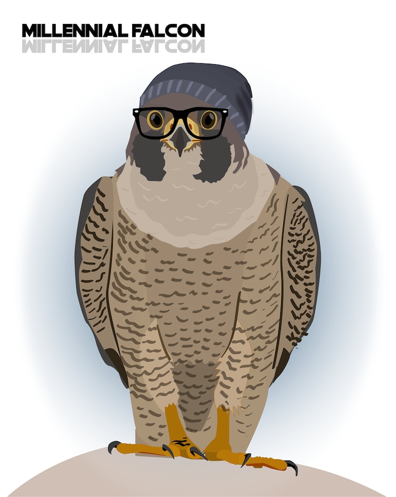 May include: A brown and grey falcon wearing a black beanie and black framed glasses. The text "MILLENNIAL FALCON" is written above the falcon.