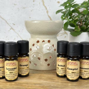 Könnte beinhalten: Ein Aromatherapie-Set mit sechs kleinen braunen Glasflaschen mit schwarzen Kappen, beschriftet mit deutschem Text. Ein cremefarbener Keramik-Diffusor für ätherische Öle befindet sich hinter den Flaschen. Eine kleine Topfpflanze ist im Hintergrund.