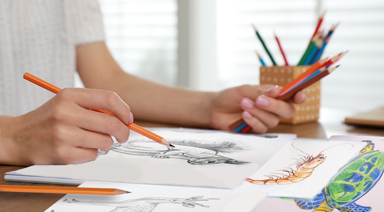 How to Draw for Absolute Beginners - Online Course Tutorial - Learn ...