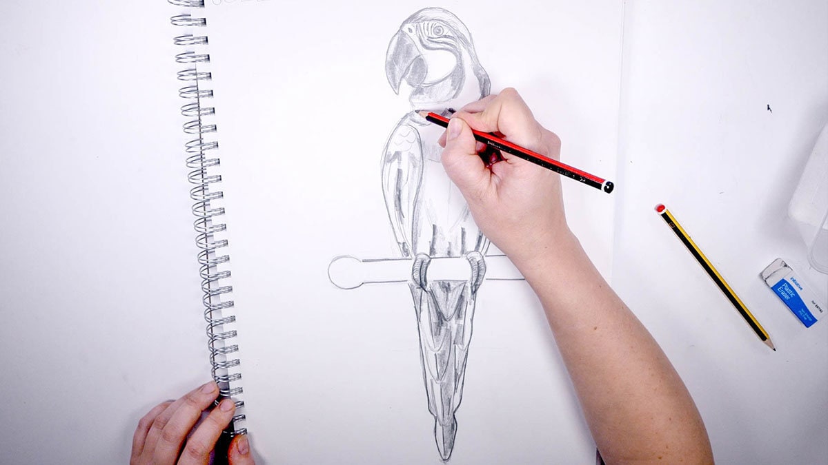 How to Draw for Absolute Beginners - Online Course Tutorial - Learn ...