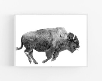 Bison Buffalo Art Canvas Print Male Wildlife Drawing Sketch Wall Decor Painting Bison Buffalo Art Canvas Print Male Wildlife Drawing Sketch Wall Decor Painting