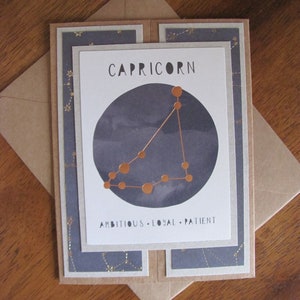 Capricorn, Aquarius, or Pisces Astrological Sign Just Because Greeting Card