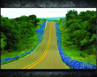 Mason Texas Bluebonnets