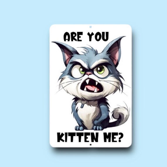 Sarcastic Cat Spoof Kitten Sign - Metal Wall Art - funny gag gift - Cat Lover decor - Indoor Outdoor - Are you Kidding Me? Rescue TNR