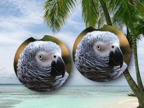 Unique African Grey Parrot Coasters: Fun Car Accessories and Stylish Drink Coasters - Perfect for Any Occasion!