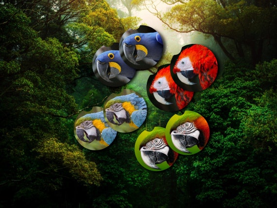Macaw Parrot Coasters - Exotic Pet Bird - Scarlet, Military, Blue and Gold, Hyacinth - Car, Bar Drink Coasters - Tropical Party Favors