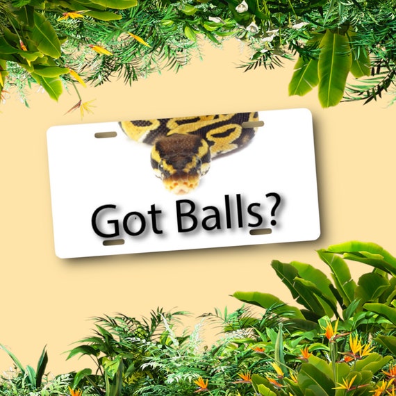 Ball Python Snake License Plate - Personalized Car Tag - Sassy Quote Got Balls - Pet Reptile Room door sign - Funny Gag Gift - Your Name