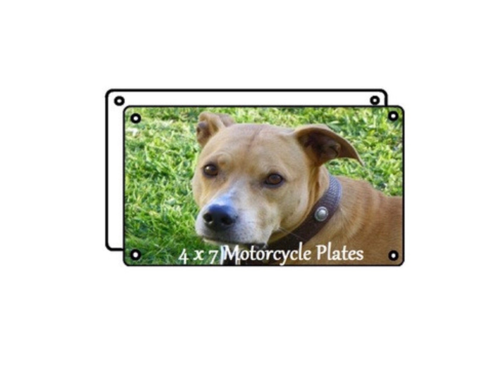 Volleyball Mom School Sports Car Accessories License Plate Etsy