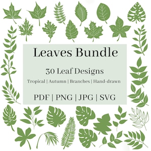 Leaves SVG / Leaves clipart / Party Decor / 30 leaf designs / Leaves png / Leaves pdf / Leaves jpg / Digital leaf designs