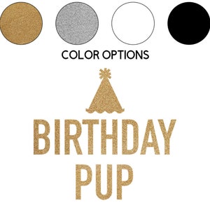 May include: Gold glitter birthday hat with the text "Birthday Pup" in gold glitter letters.  Color options include gold, silver, white, and black.