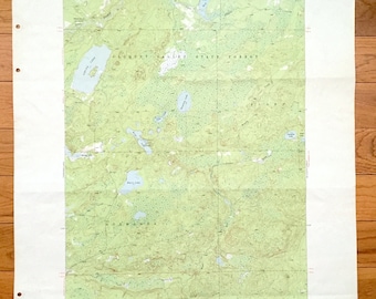 Forest Lake Mn Map - Etsy
