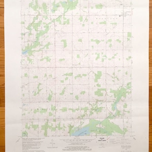 Antikes Waldland, Michigan, 1981 US-Amerikanisches Teilungsstudie Topographic Map – Barry County, Castleton, Hastings, Carlton, Thornapple Lake, MI
