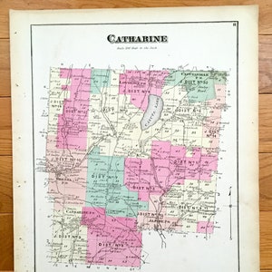 Antike 1874 Catharine, New York Karte von Pomeroy, Whitman & Co. Atlas of Schuyler County – Cayuta Lake, Odessa, Alpine, Lawrence, NY