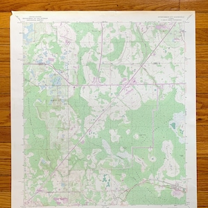 Antieke Disney World locatie en voorbede City, Florida 1953 Amerikaanse geologische enquête topografische kaart – Osceola County, Orange County, FL