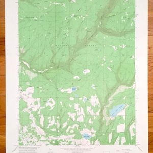 Antiker Millwood, Colorado 1965 US 1965 - San Juan National Forest, Lost Canyon, Jackson Gulch Reservoir