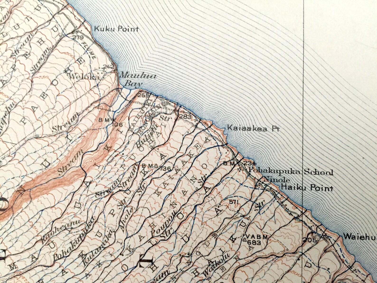 Antique Honomu Hawaii 1915 US Geological Survey Topographic Etsy