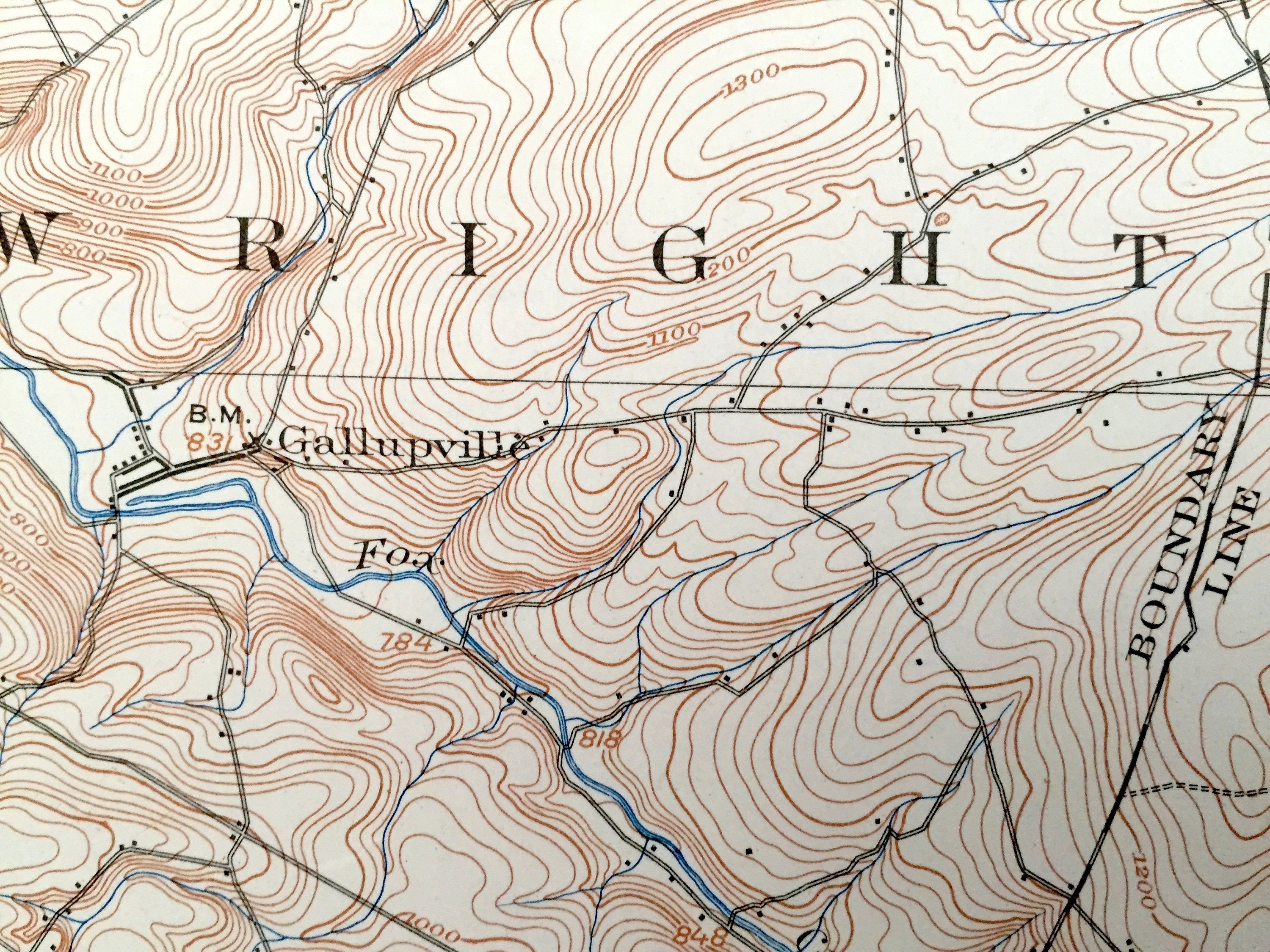 Antique Berne New York 1900 US Geological Survey Topographic Etsy