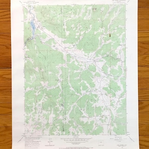 Antike Lake George, Colorado 1956 US Geologische Dienst Topographische Karte - Park, Teller County, Florissant Fossilienbetten, National Forest, CO