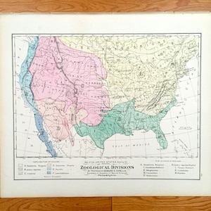 Può includere: Una mappa vintage degli Stati Uniti che mostra le divisioni zoologiche del paese. La mappa è divisa in diverse regioni colorate, ciascuna rappresentante una diversa divisione zoologica. La mappa è intitolata "Zoological Divisions of the United States showing the distribution of Mammalia and Birds by Professor Edward D. Cope, Secretary of Academy of Natural Sciences, Philadelphia."