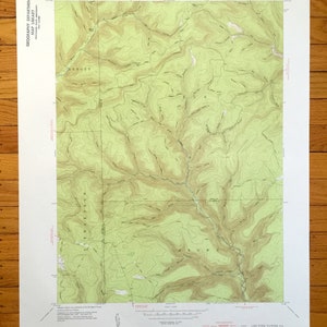Antique Lee Fire Tower, Pennsylvania 1947 US Geological Survey Topographic Map - Potter, Tioga, Lycoming County, Abbott, Elk, Stewardson, PA