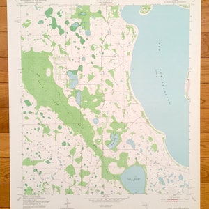 Antique Lake Tohopekaliga, Floride 1953 Carte topographique de l’US Geological Survey – Osceola, comté de Polk, Johnson Island, Reedy Creek Swamp, FL