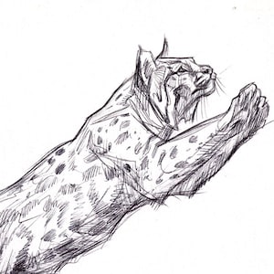 Bobcat Leap ORIGINAL DRAWING