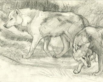 Spring Time ORIGINAL DRAWING