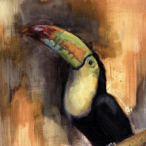 KEEL BILLED TOUCAN Fine Art print
