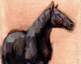 BLACK HORSE STUDY Fine Art print