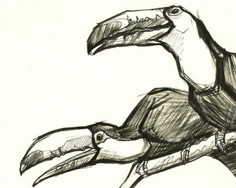 Toco Toucans ORIGINAL DRAWING